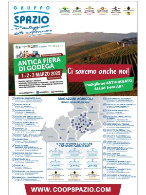 VdP n. 08 del 23-02-2025_page-0001